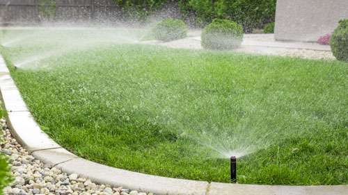 South Florida sprinkler system